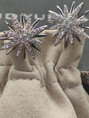 David Yurman Earrings